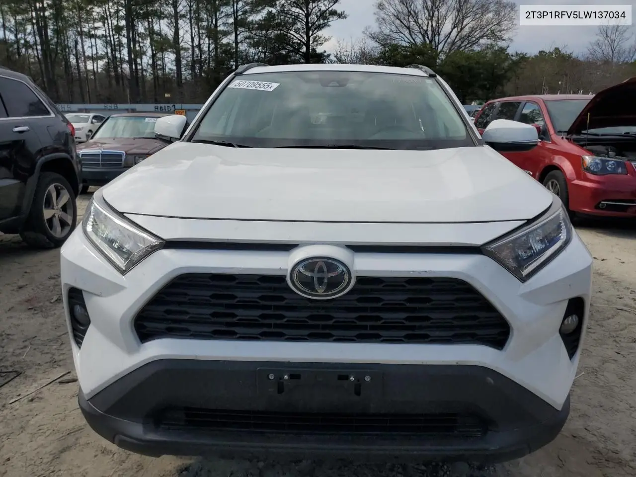 2020 Toyota Rav4 Xle VIN: 2T3P1RFV5LW137034 Lot: 50709555