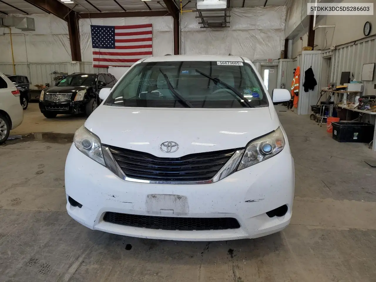 2013 Toyota Sienna Le VIN: 5TDKK3DC5DS286603 Lot: 56873665