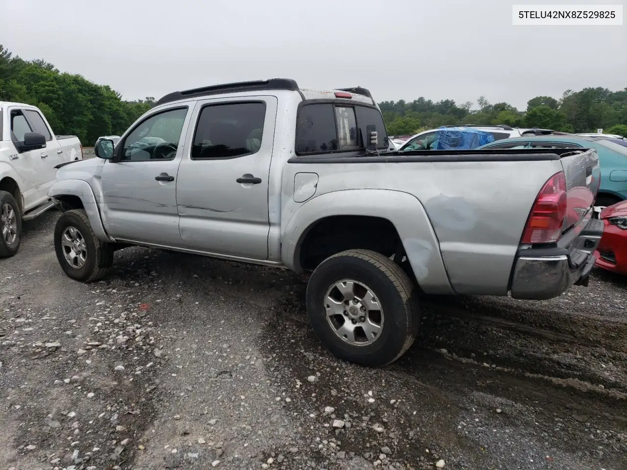 2008 Toyota Tacoma Double Cab VIN: 5TELU42NX8Z529825 Lot: 61478845