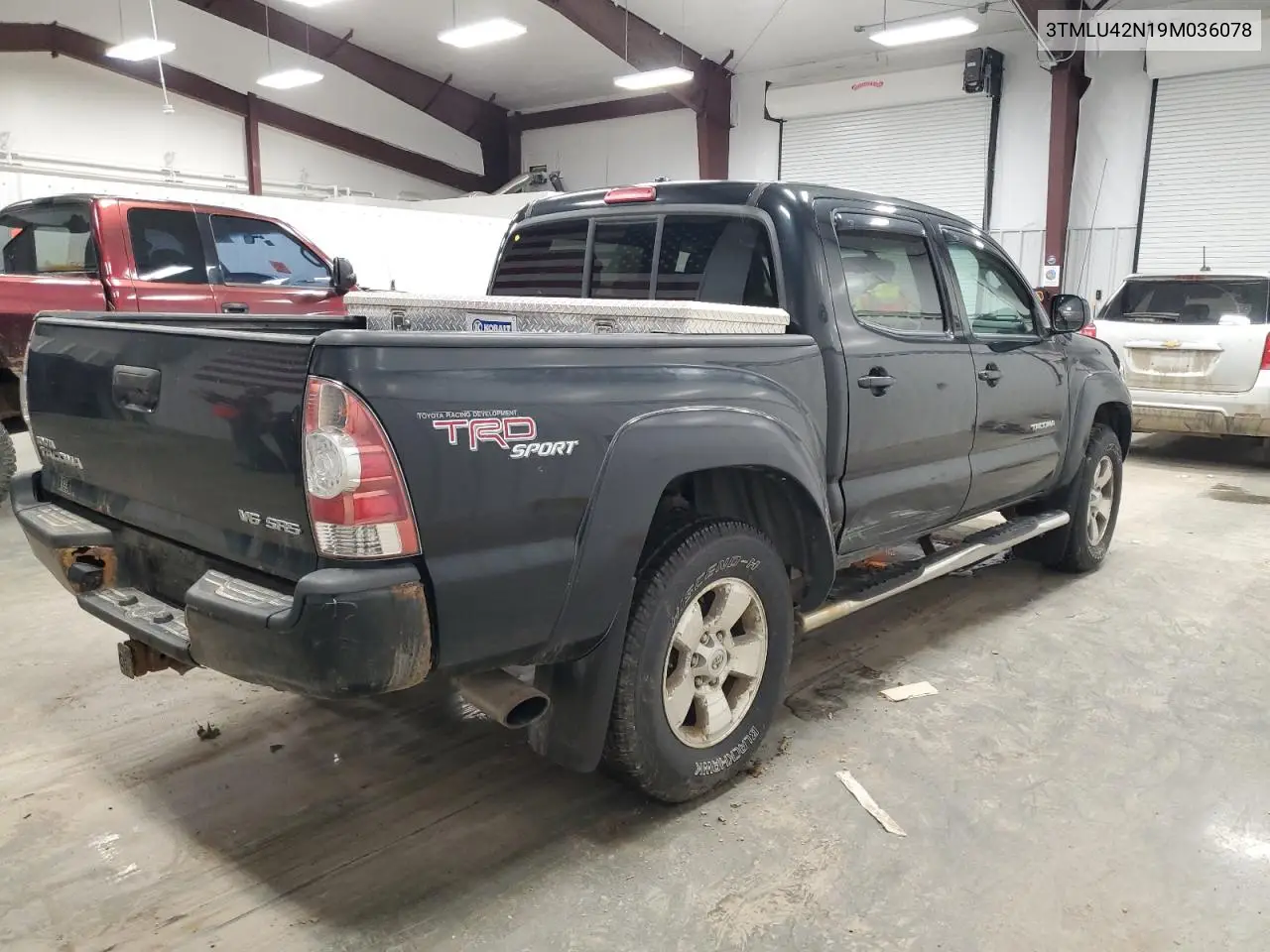 2009 Toyota Tacoma Double Cab VIN: 3TMLU42N19M036078 Lot: 50571215