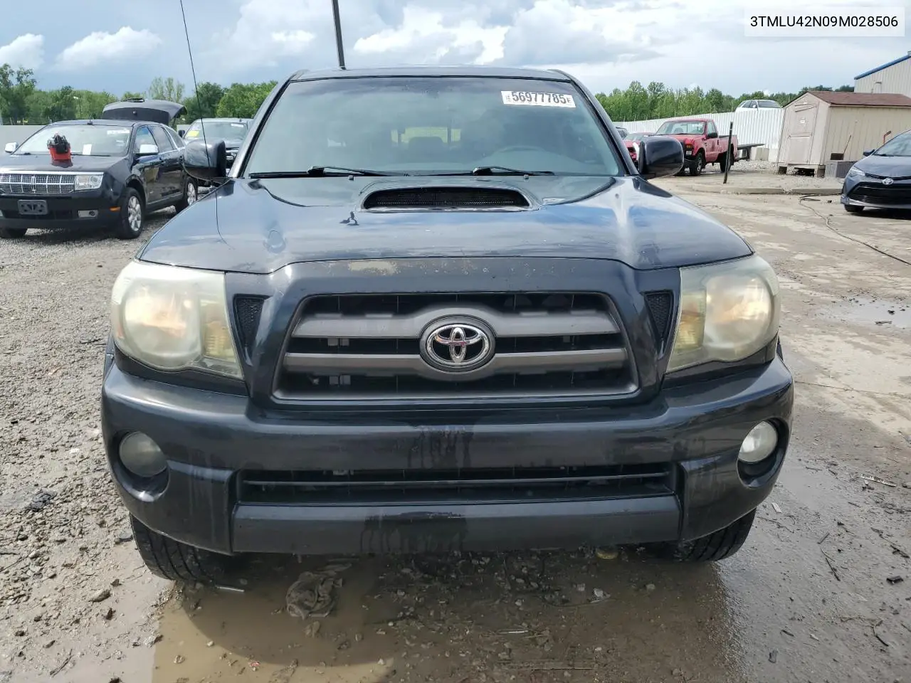2009 Toyota Tacoma Double Cab VIN: 3TMLU42N09M028506 Lot: 56977785
