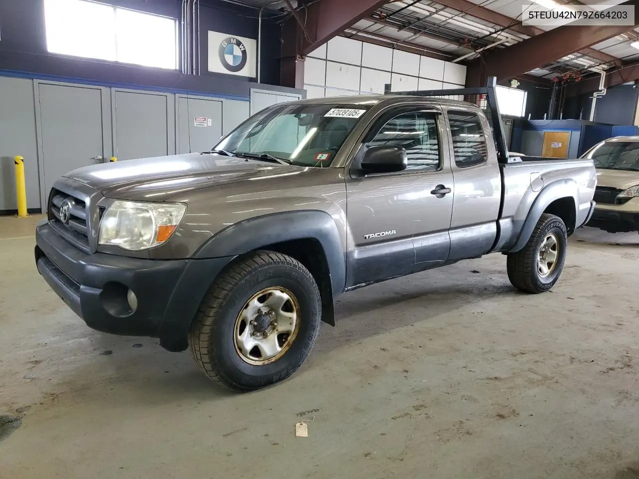 2009 Toyota Tacoma Access Cab VIN: 5TEUU42N79Z664203 Lot: 57039105