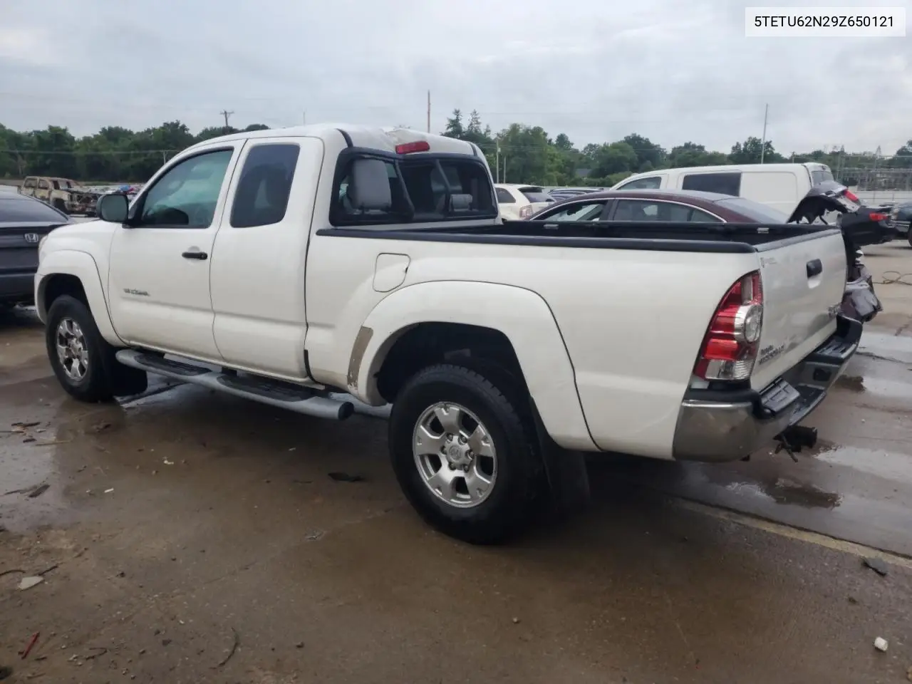2009 Toyota Tacoma Prerunner Access Cab VIN: 5TETU62N29Z650121 Lot: 62497925