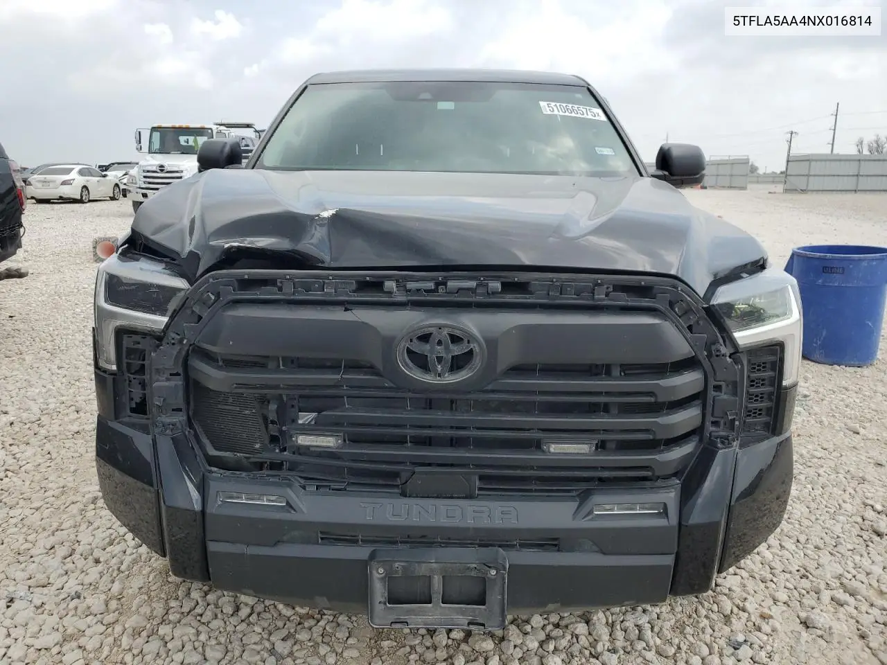 2022 Toyota Tundra Double Cab Sr VIN: 5TFLA5AA4NX016814 Lot: 51066575