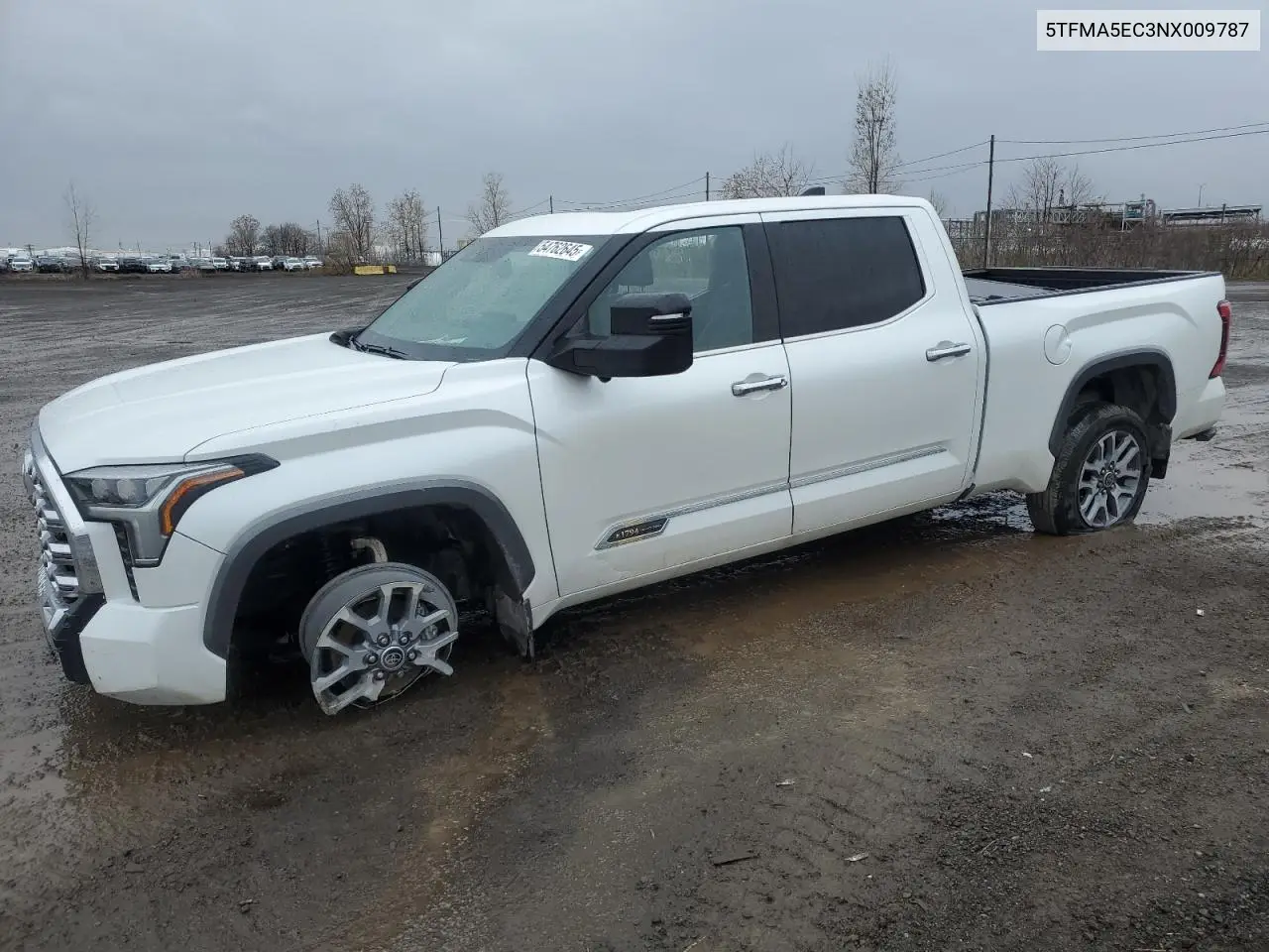 2022 Toyota Tundra Crewmax Platinum VIN: 5TFMA5EC3NX009787 Lot: 54762645