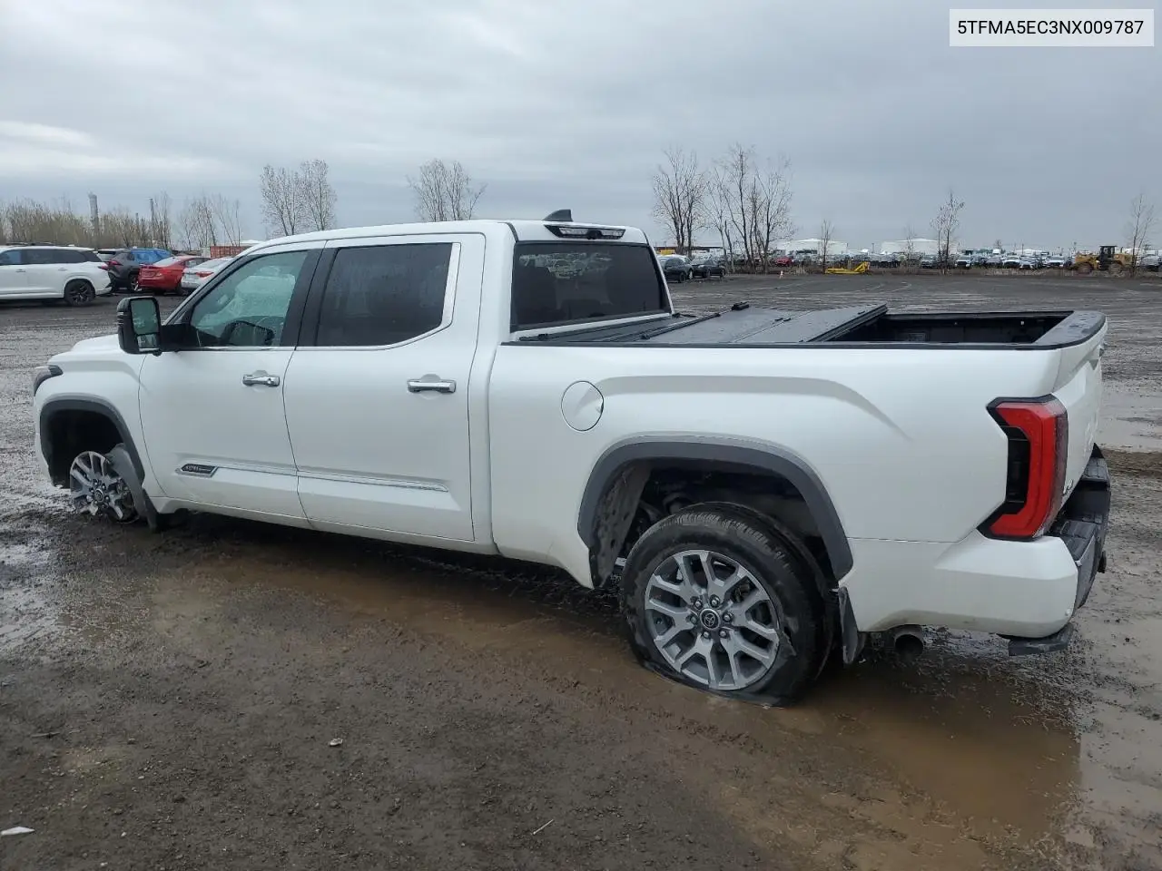 2022 Toyota Tundra Crewmax Platinum VIN: 5TFMA5EC3NX009787 Lot: 54762645