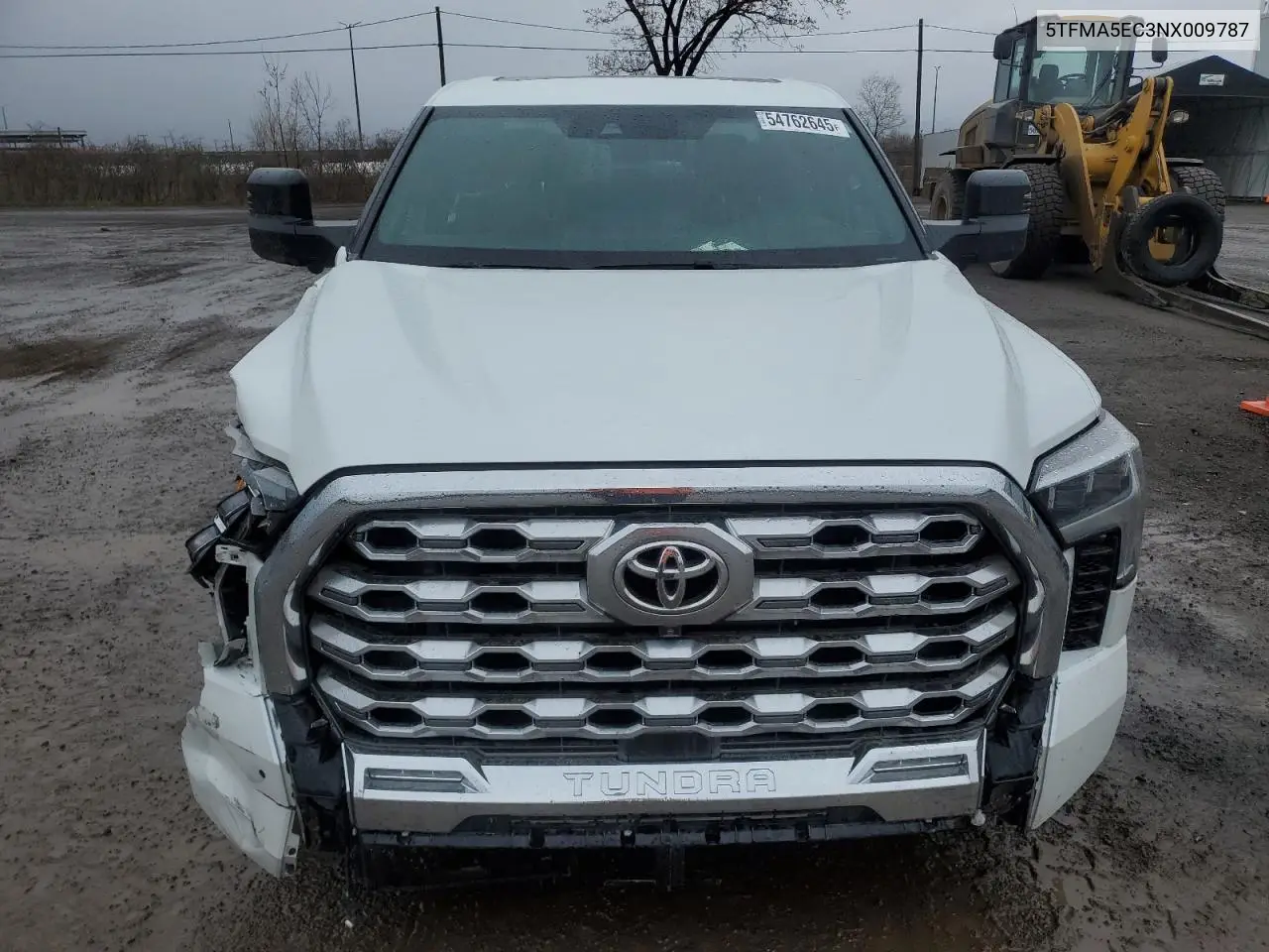 2022 Toyota Tundra Crewmax Platinum VIN: 5TFMA5EC3NX009787 Lot: 54762645