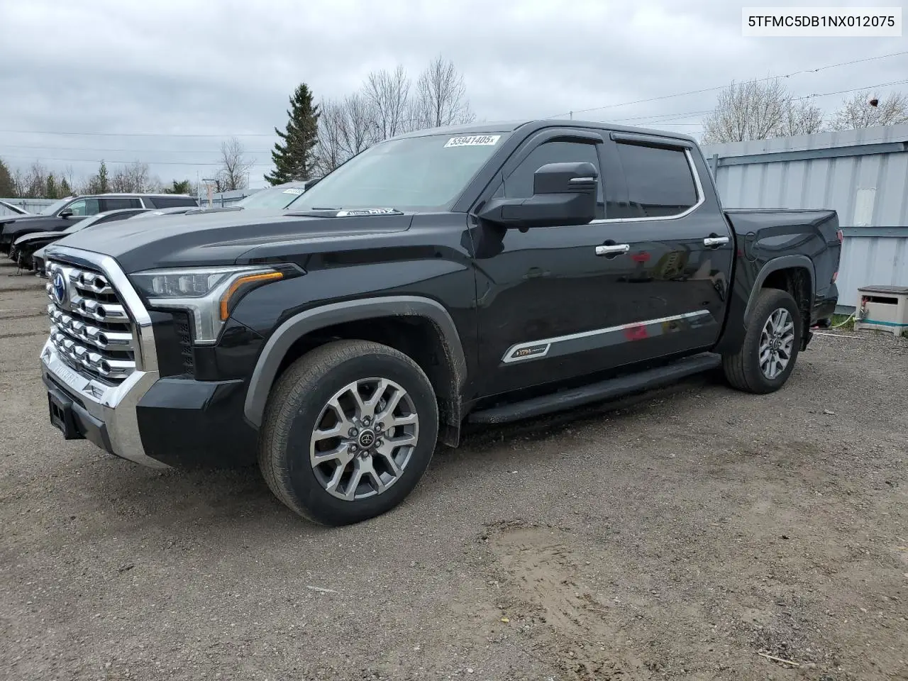 2022 Toyota Tundra Crewmax Platinum VIN: 5TFMC5DB1NX012075 Lot: 55941405