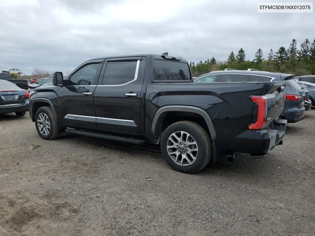 2022 Toyota Tundra Crewmax Platinum VIN: 5TFMC5DB1NX012075 Lot: 55941405