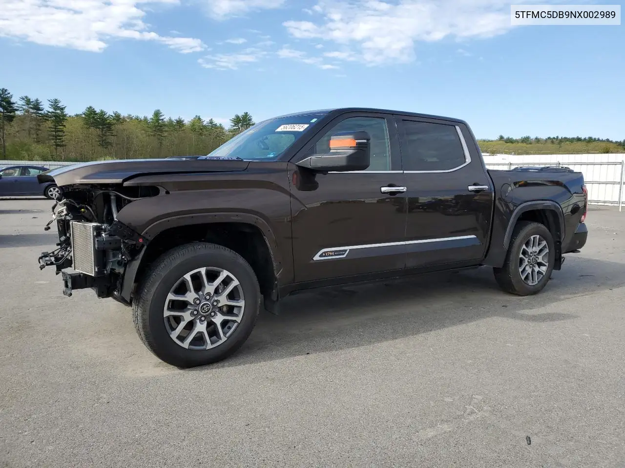 2022 Toyota Tundra Crewmax Platinum VIN: 5TFMC5DB9NX002989 Lot: 56206215