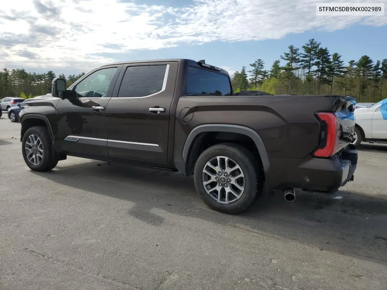 2022 Toyota Tundra Crewmax Platinum VIN: 5TFMC5DB9NX002989 Lot: 56206215
