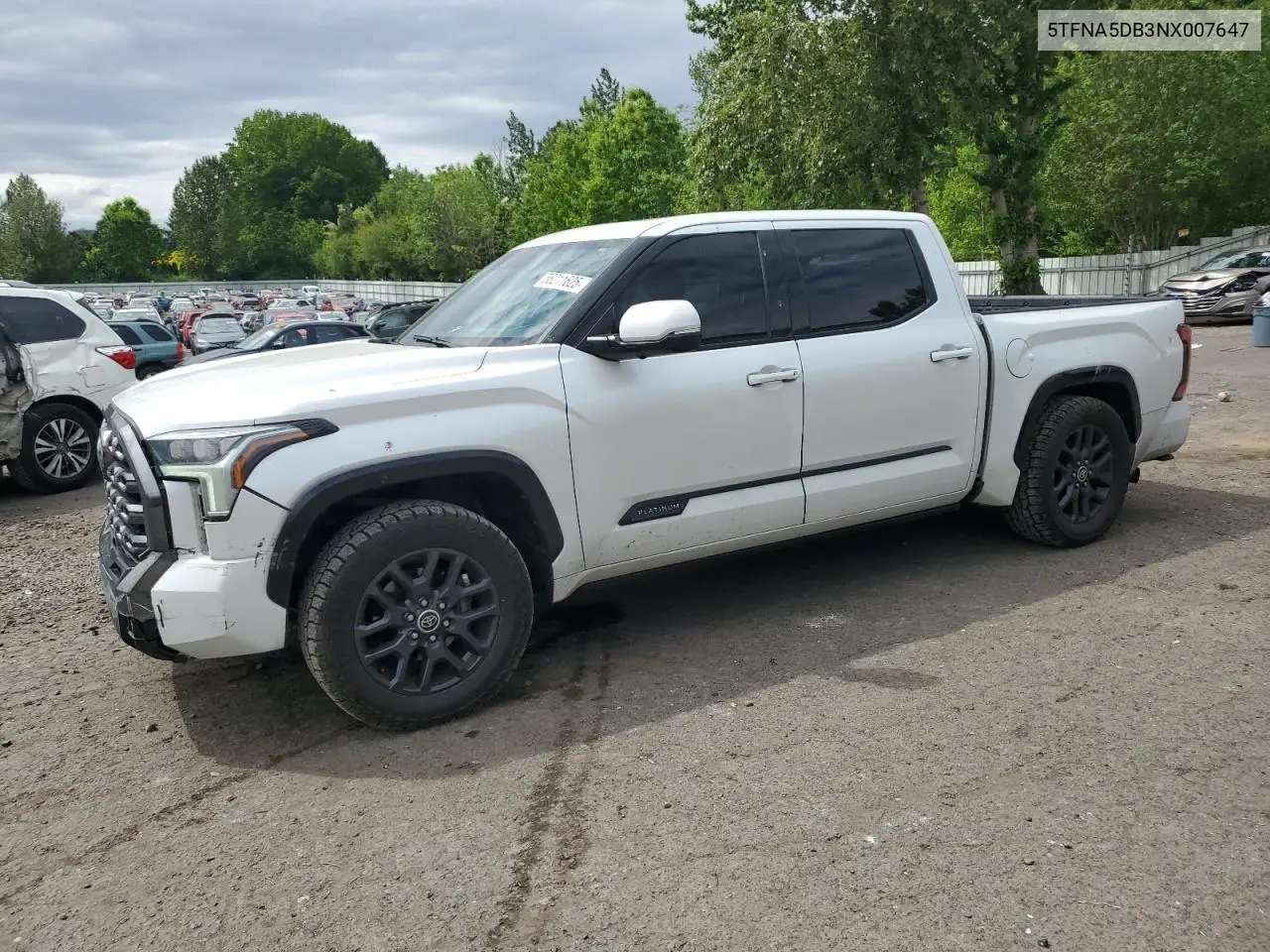 2022 Toyota Tundra Crewmax Platinum VIN: 5TFNA5DB3NX007647 Lot: 56211625