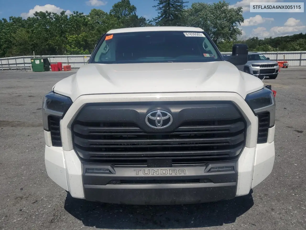 2022 Toyota Tundra Double Cab Sr VIN: 5TFLA5DA6NX005115 Lot: 61839565