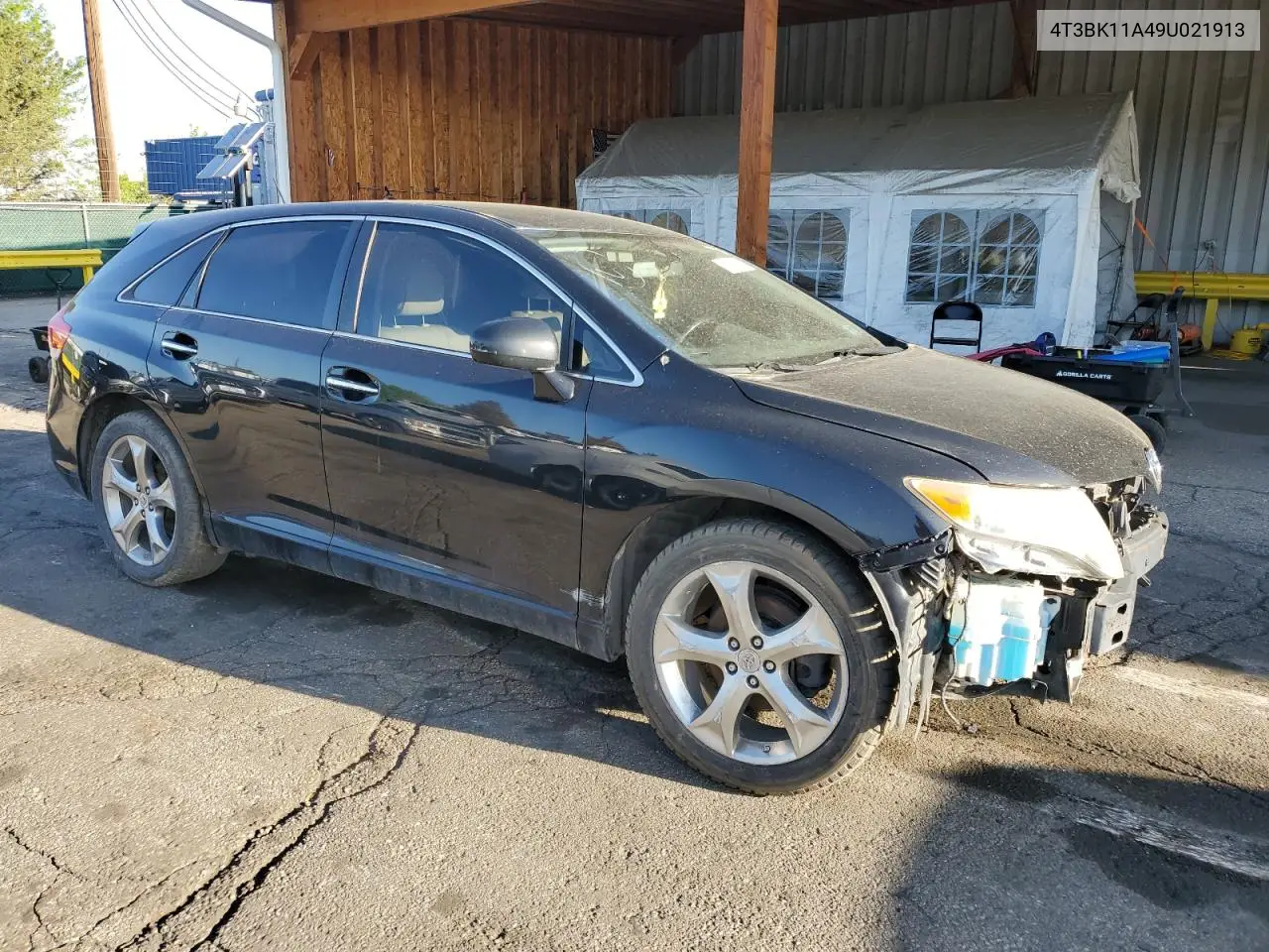 2009 Toyota Venza VIN: 4T3BK11A49U021913 Lot: 56020645