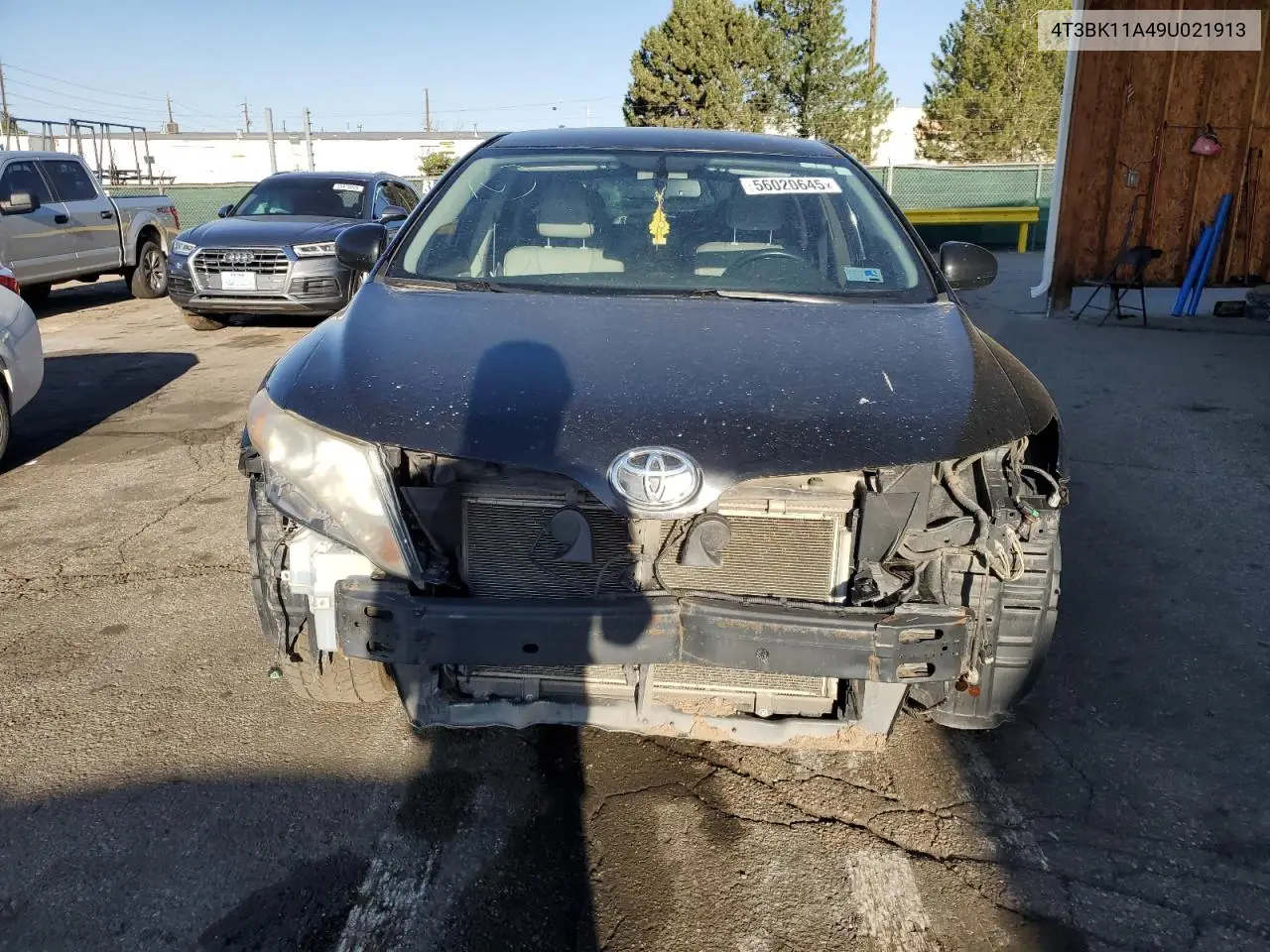 2009 Toyota Venza VIN: 4T3BK11A49U021913 Lot: 56020645