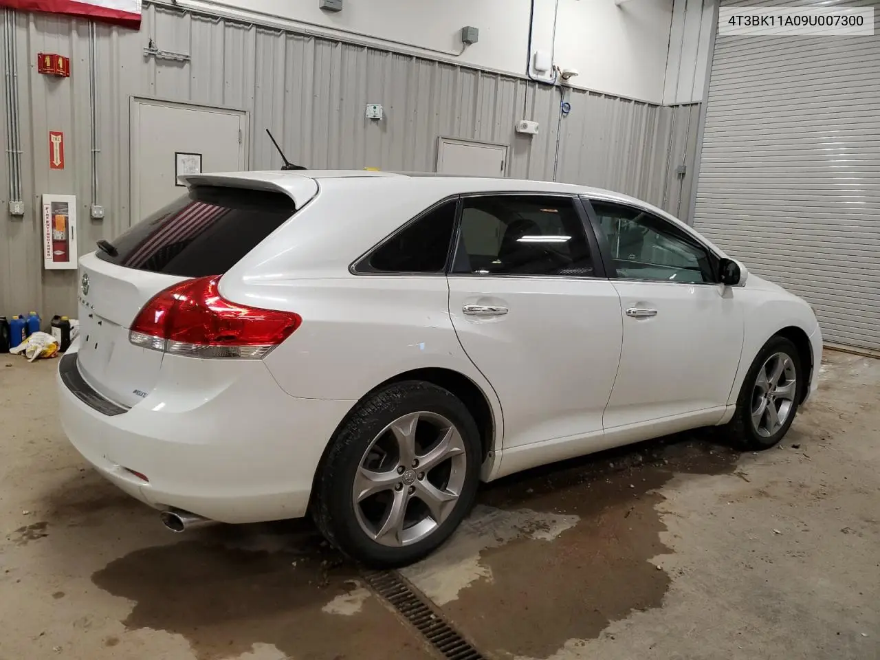 2009 Toyota Venza VIN: 4T3BK11A09U007300 Lot: 56097625