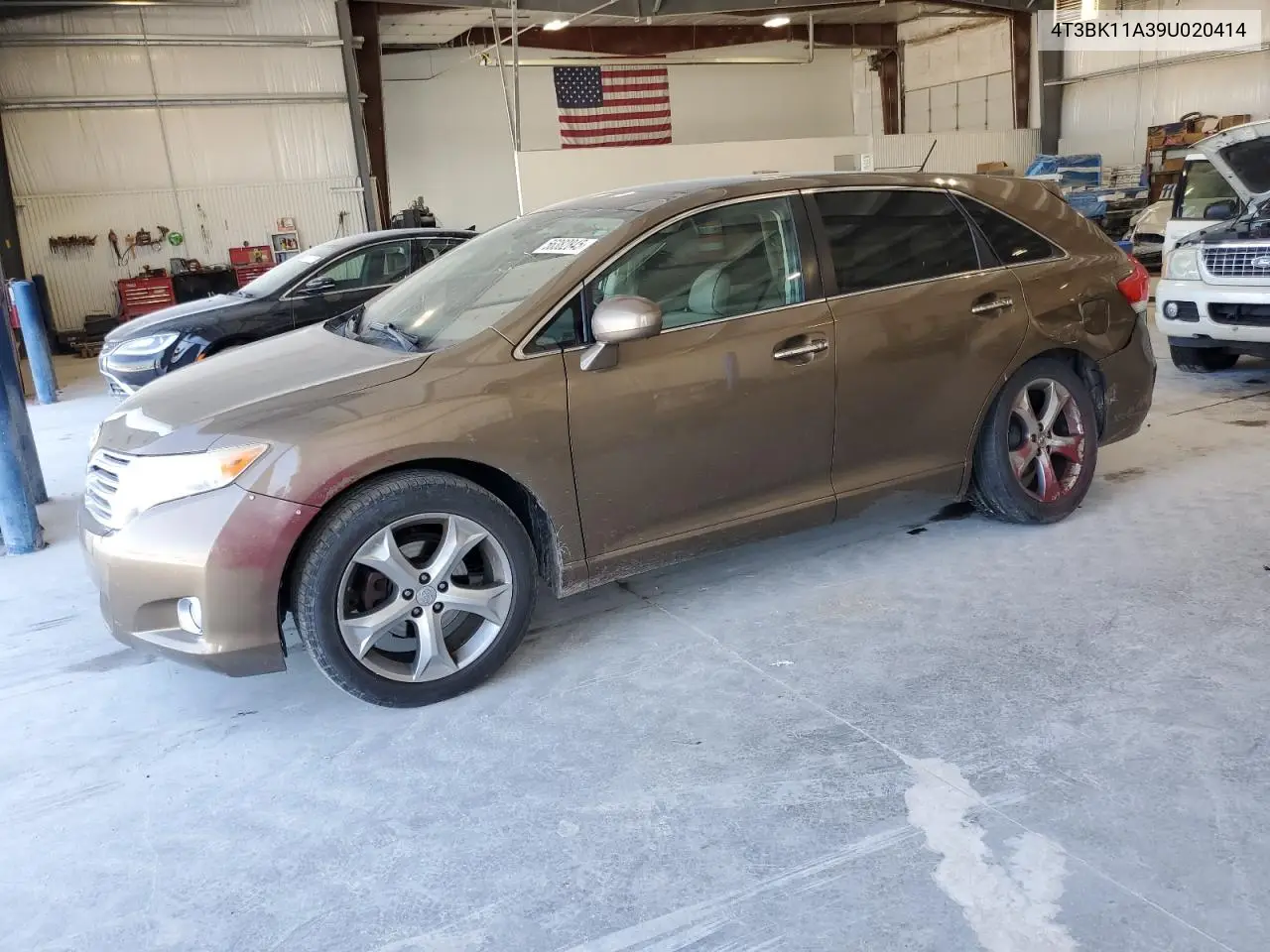 2009 Toyota Venza VIN: 4T3BK11A39U020414 Lot: 56382845