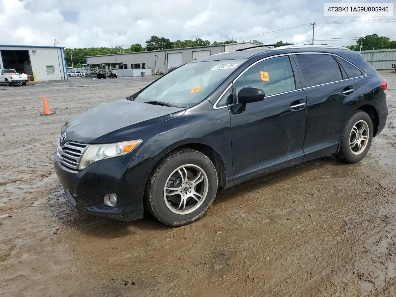 2009 Toyota Venza VIN: 4T3BK11A59U005946 Lot: 56850155