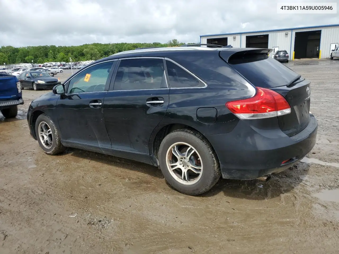 2009 Toyota Venza VIN: 4T3BK11A59U005946 Lot: 56850155