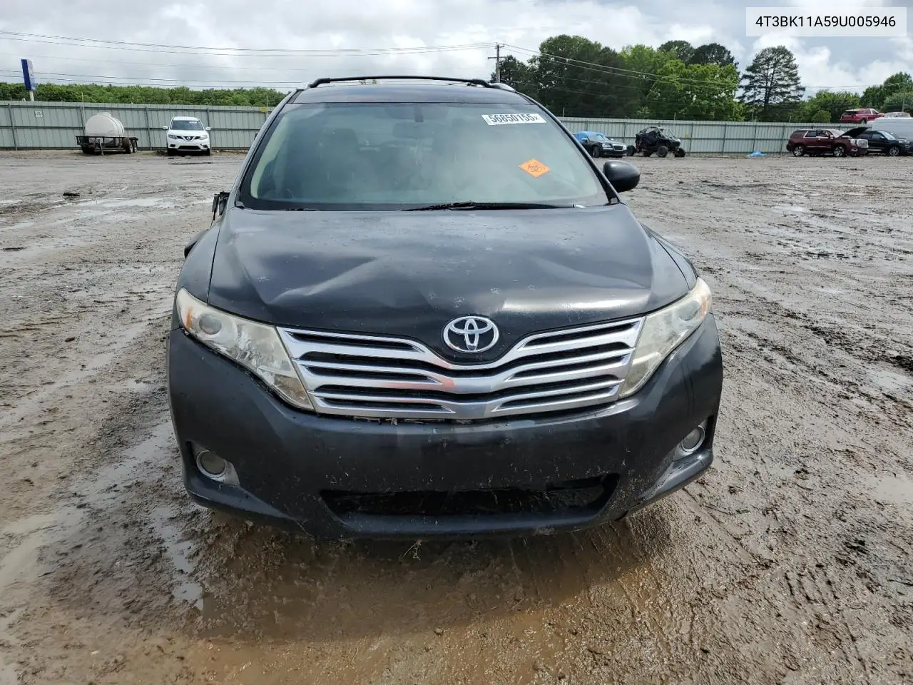 2009 Toyota Venza VIN: 4T3BK11A59U005946 Lot: 56850155