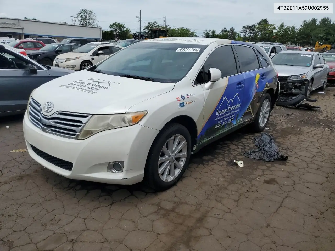 2009 Toyota Venza VIN: 4T3ZE11A59U002955 Lot: 61611745