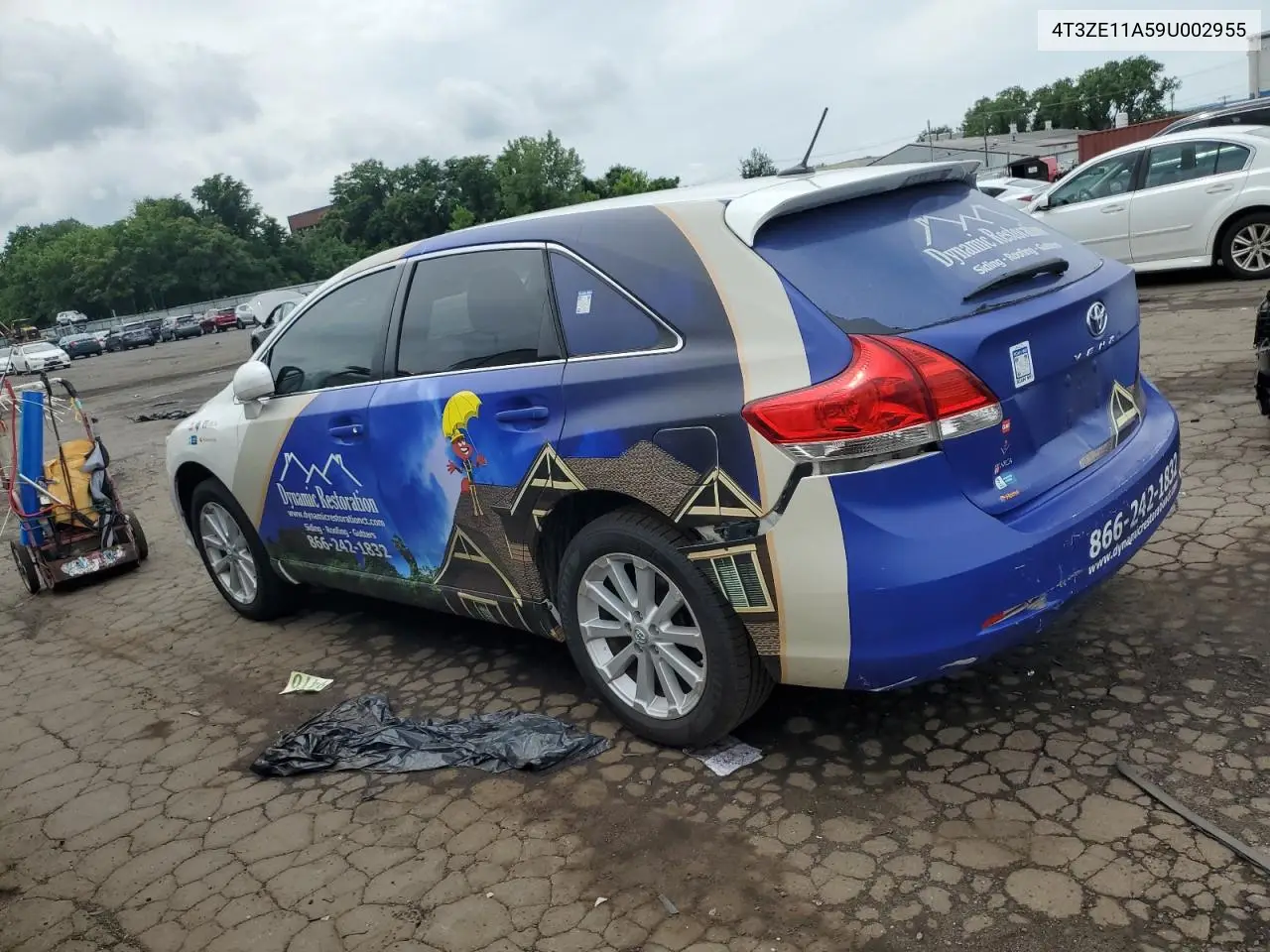 2009 Toyota Venza VIN: 4T3ZE11A59U002955 Lot: 61611745