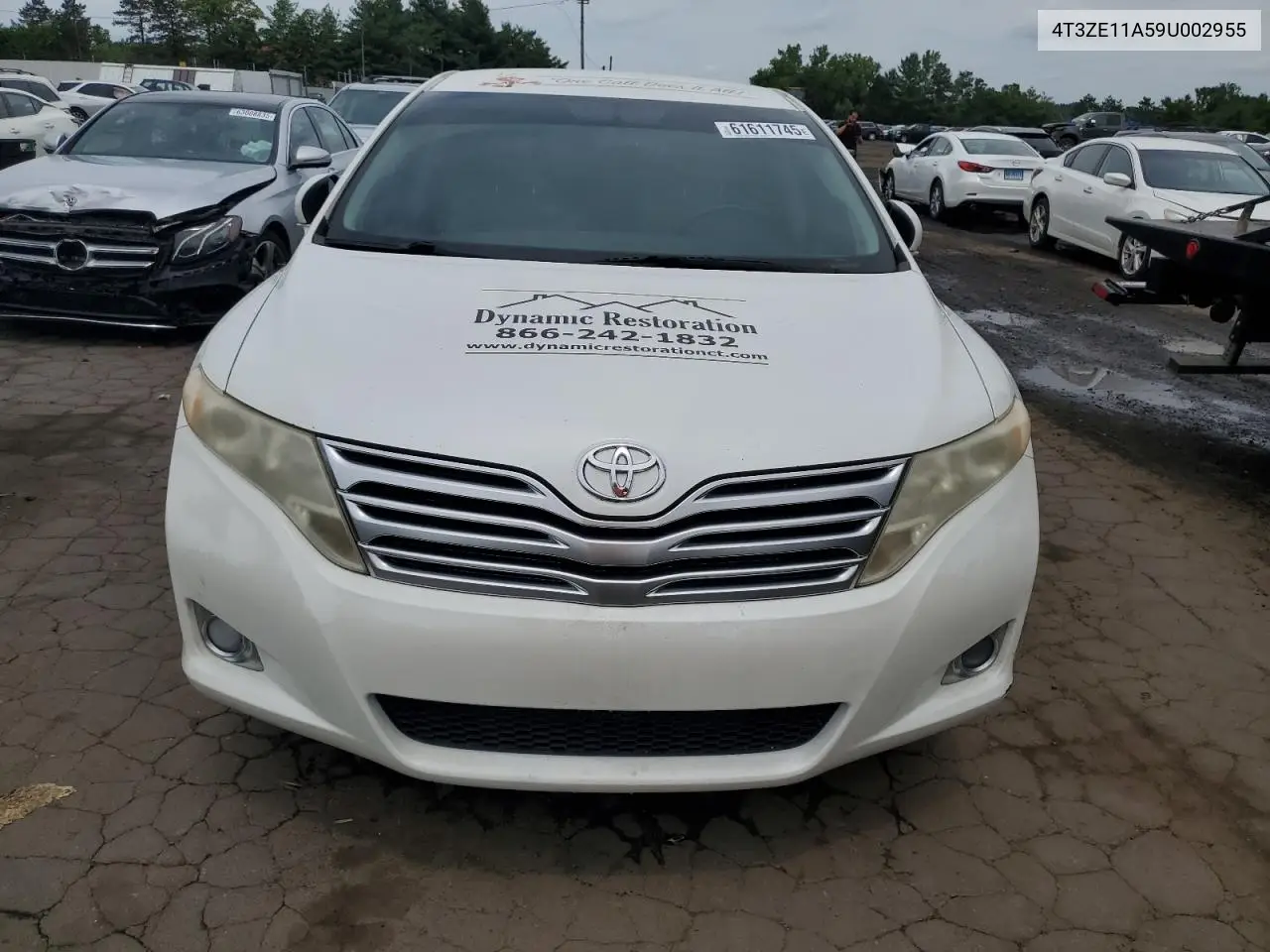 2009 Toyota Venza VIN: 4T3ZE11A59U002955 Lot: 61611745