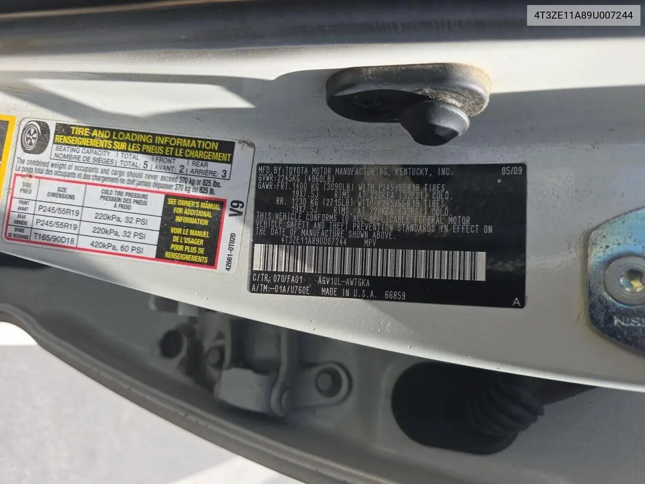 2009 Toyota Venza VIN: 4T3ZE11A89U007244 Lot: 63535325