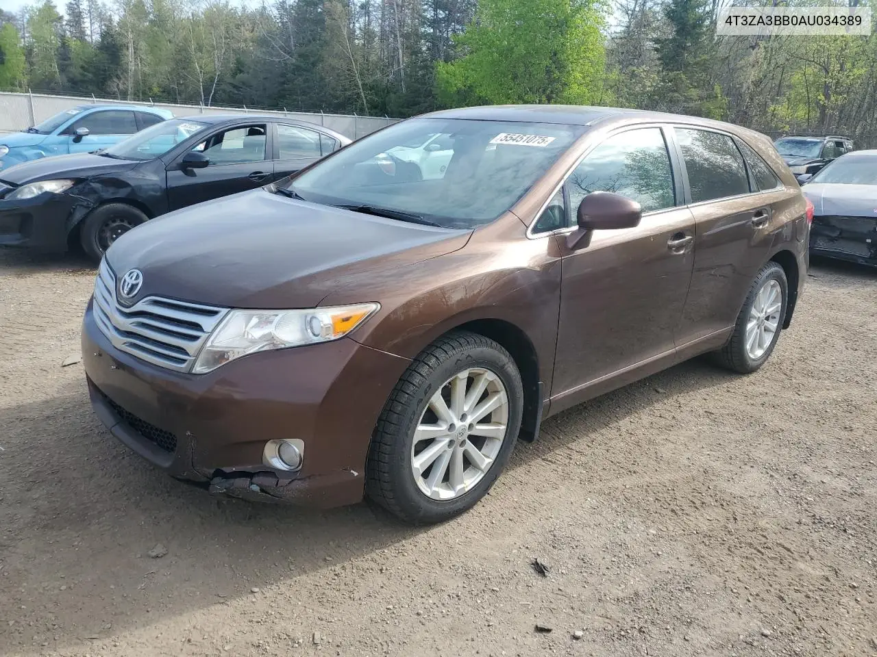 2010 Toyota Venza VIN: 4T3ZA3BB0AU034389 Lot: 55451075