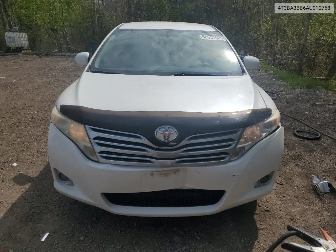 2010 Toyota Venza VIN: 4T3BA3BB6AU012768 Lot: 56557905