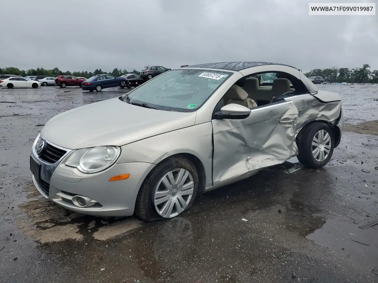 2009 Volkswagen Eos Turbo VIN: WVWBA71F09V019987 Lot: 63657215