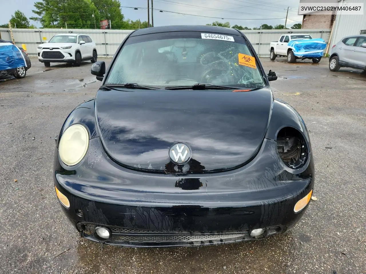 2000 Volkswagen New Beetle Gls VIN: 3VWCC21C2YM406487 Lot: 64654675