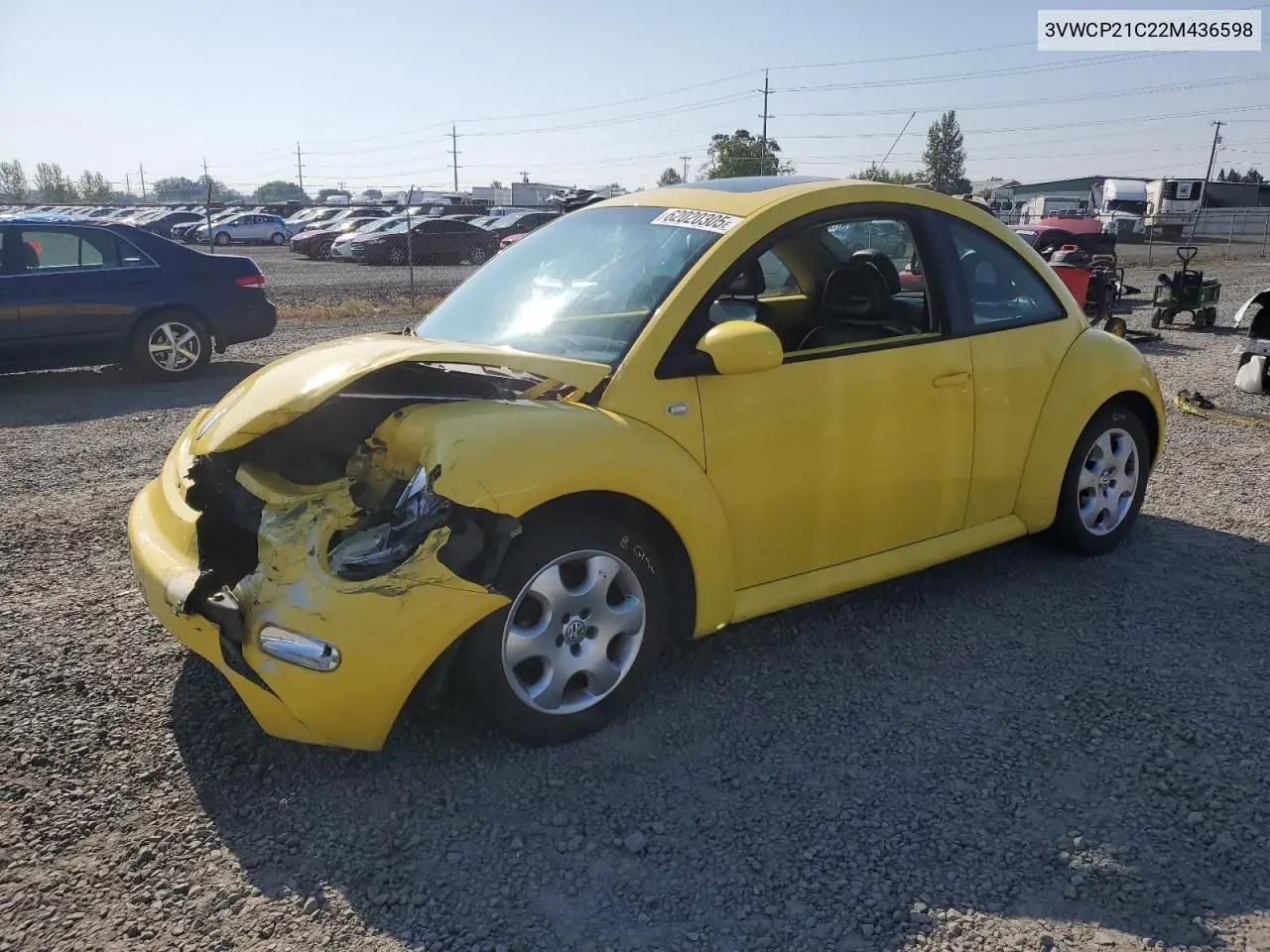 2002 Volkswagen New Beetle Gls Tdi VIN: 3VWCP21C22M436598 Lot: 62020305