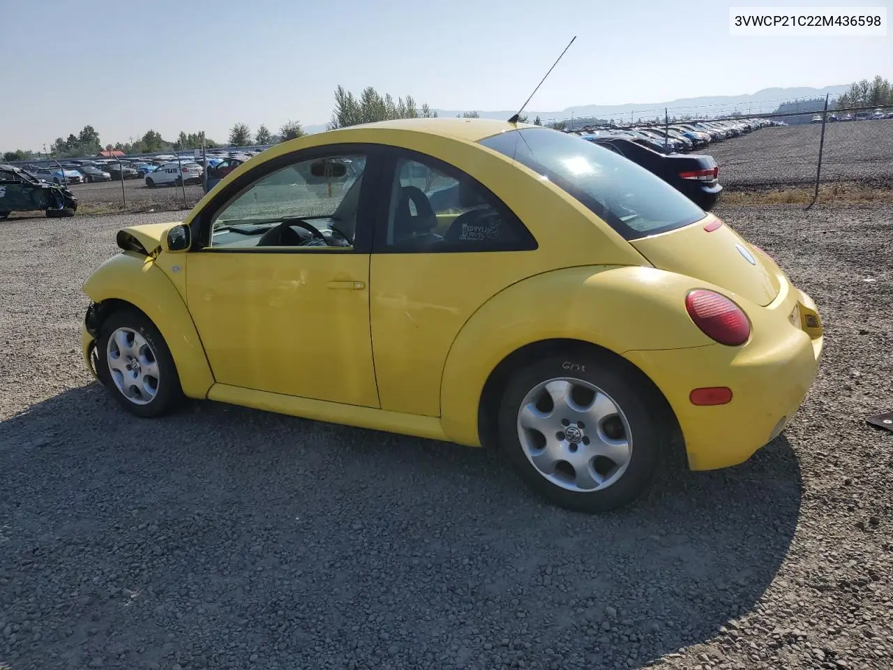 2002 Volkswagen New Beetle Gls Tdi VIN: 3VWCP21C22M436598 Lot: 62020305