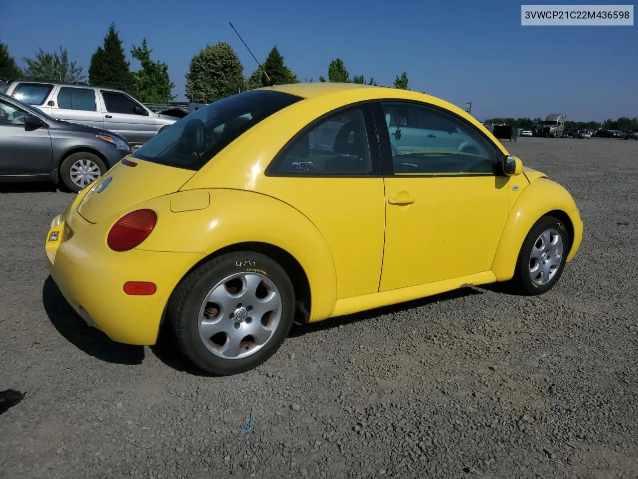 2002 Volkswagen New Beetle Gls Tdi VIN: 3VWCP21C22M436598 Lot: 62020305