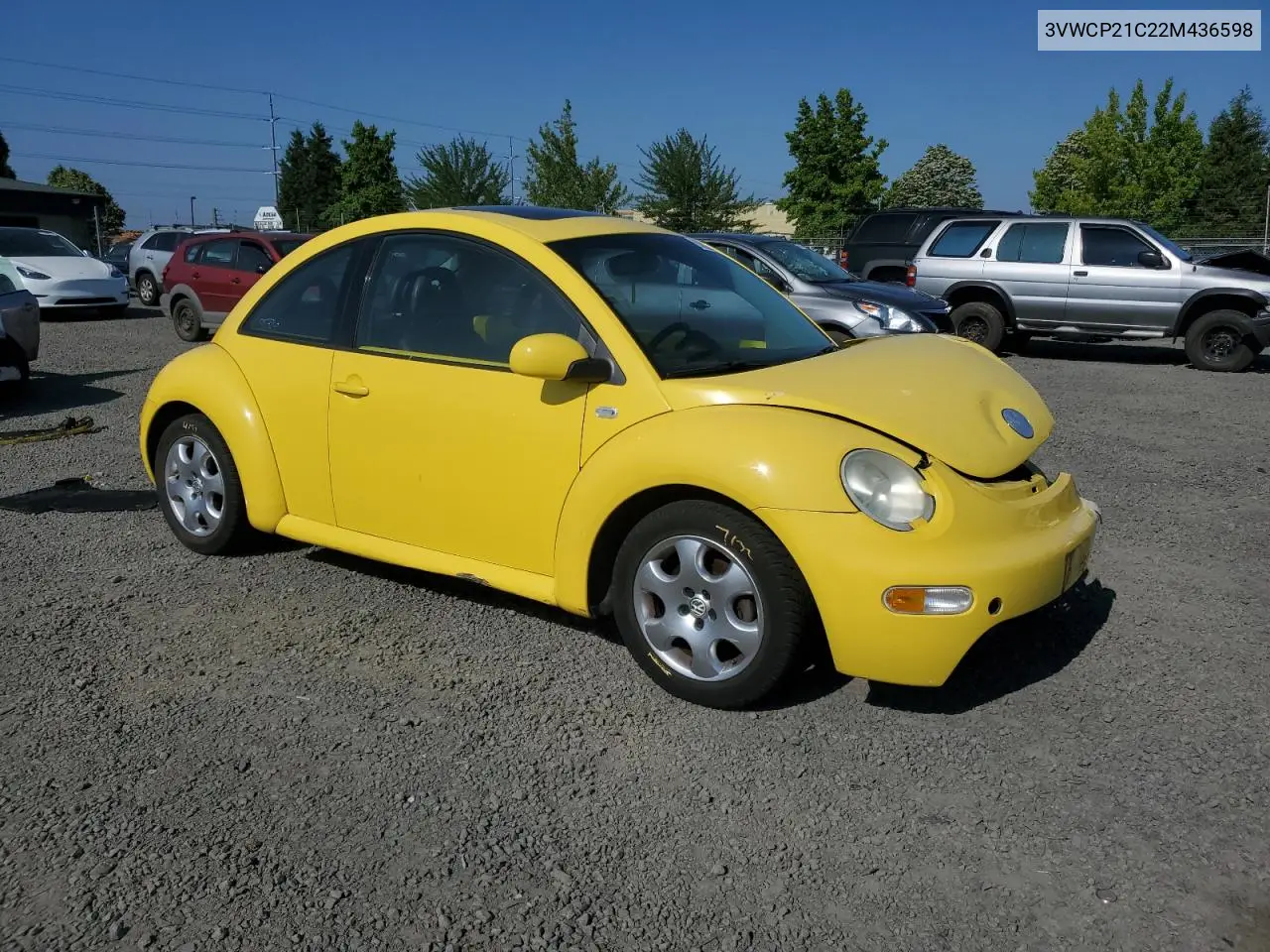 2002 Volkswagen New Beetle Gls Tdi VIN: 3VWCP21C22M436598 Lot: 62020305