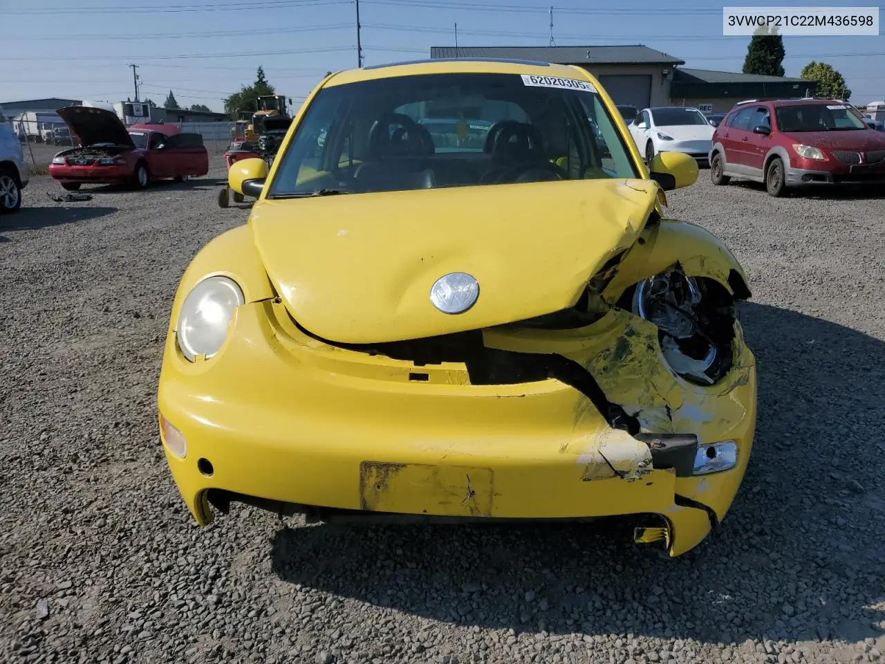 2002 Volkswagen New Beetle Gls Tdi VIN: 3VWCP21C22M436598 Lot: 62020305