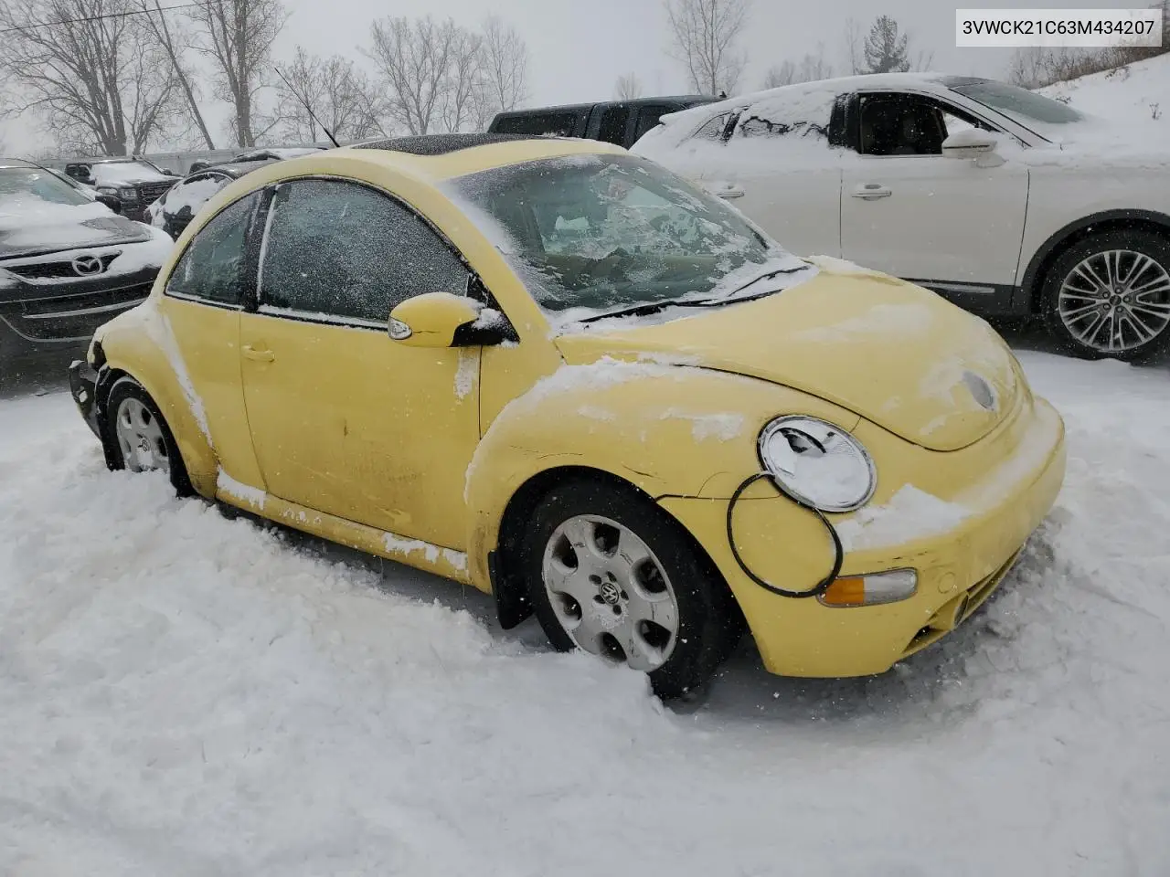 2003 Volkswagen New Beetle Gls VIN: 3VWCK21C63M434207 Lot: 45637945