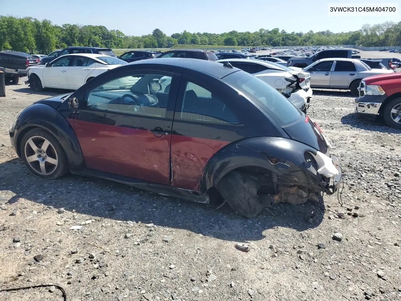 2005 Volkswagen New Beetle Gls VIN: 3VWCK31C45M404700 Lot: 52366175