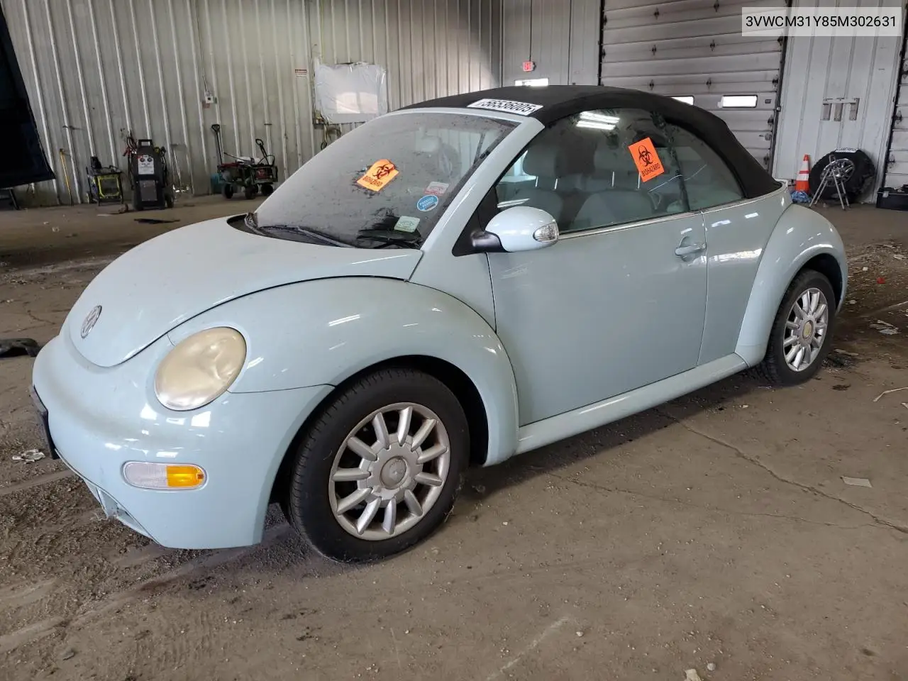 2005 Volkswagen New Beetle Gls VIN: 3VWCM31Y85M302631 Lot: 56536005