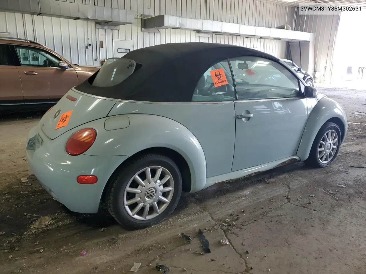 2005 Volkswagen New Beetle Gls VIN: 3VWCM31Y85M302631 Lot: 56536005