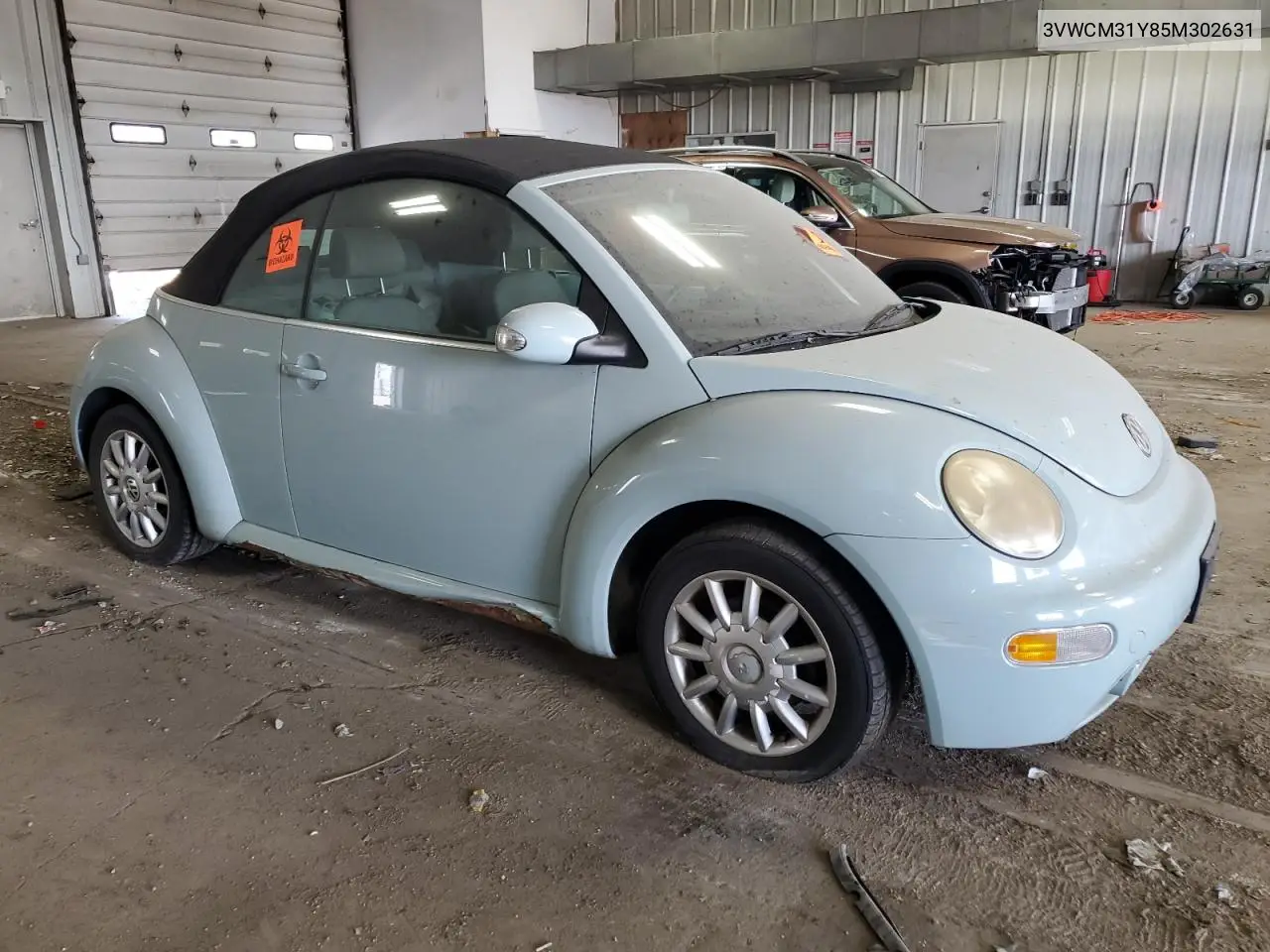 2005 Volkswagen New Beetle Gls VIN: 3VWCM31Y85M302631 Lot: 56536005