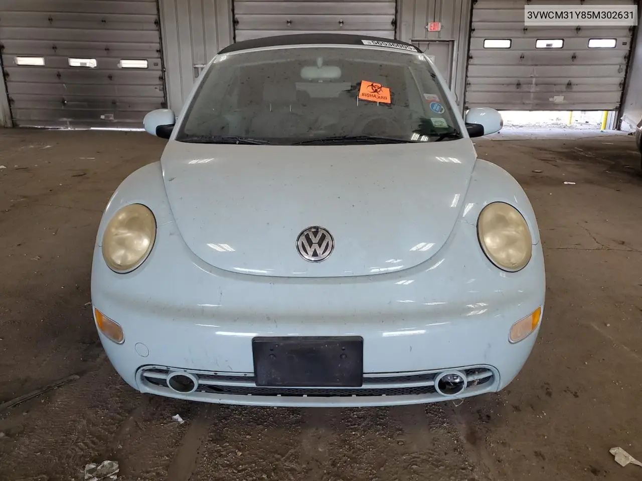 2005 Volkswagen New Beetle Gls VIN: 3VWCM31Y85M302631 Lot: 56536005