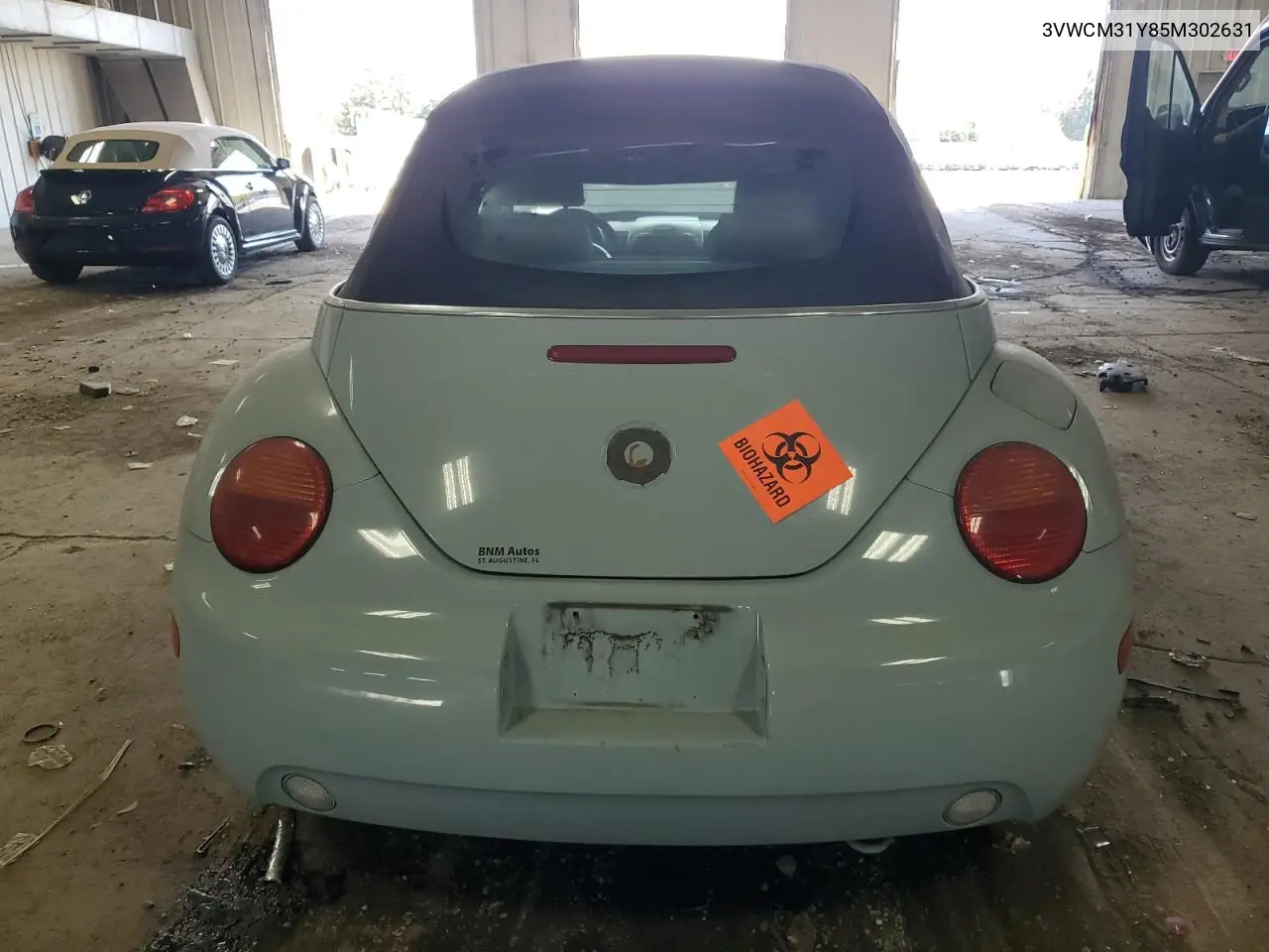 2005 Volkswagen New Beetle Gls VIN: 3VWCM31Y85M302631 Lot: 56536005