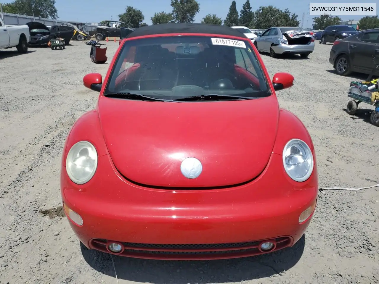 2005 Volkswagen New Beetle Gls VIN: 3VWCD31Y75M311546 Lot: 61877105