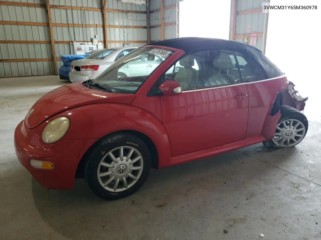 2005 Volkswagen New Beetle Gls VIN: 3VWCM31Y65M360978 Lot: 62787655