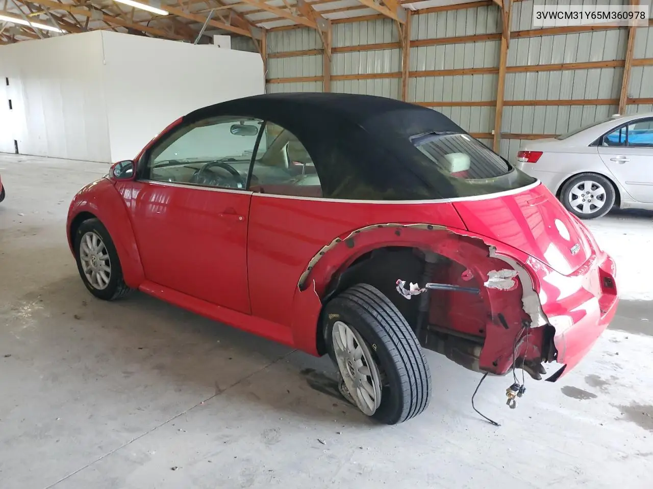 2005 Volkswagen New Beetle Gls VIN: 3VWCM31Y65M360978 Lot: 62787655