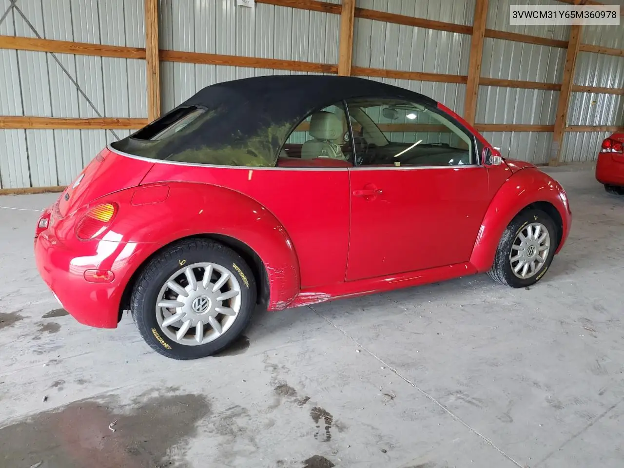 2005 Volkswagen New Beetle Gls VIN: 3VWCM31Y65M360978 Lot: 62787655