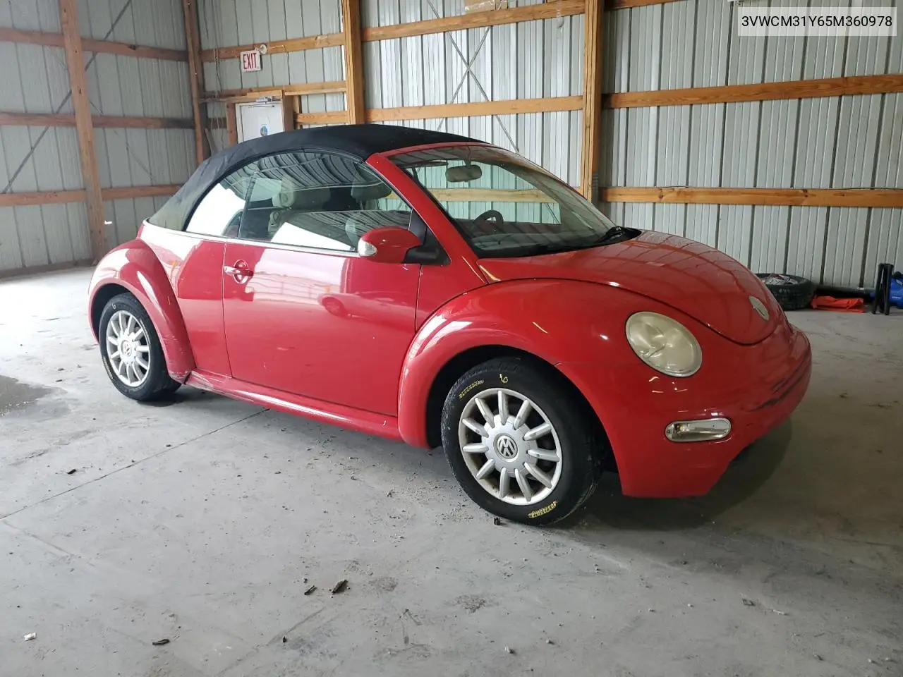 2005 Volkswagen New Beetle Gls VIN: 3VWCM31Y65M360978 Lot: 62787655