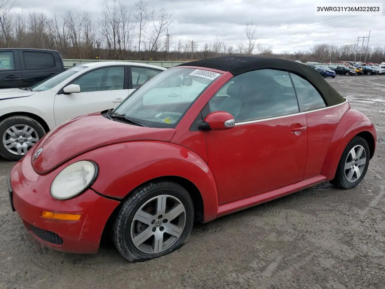 2006 Volkswagen New Beetle Convertible Option Package 1 VIN: 3VWRG31Y36M322823 Lot: 50880085
